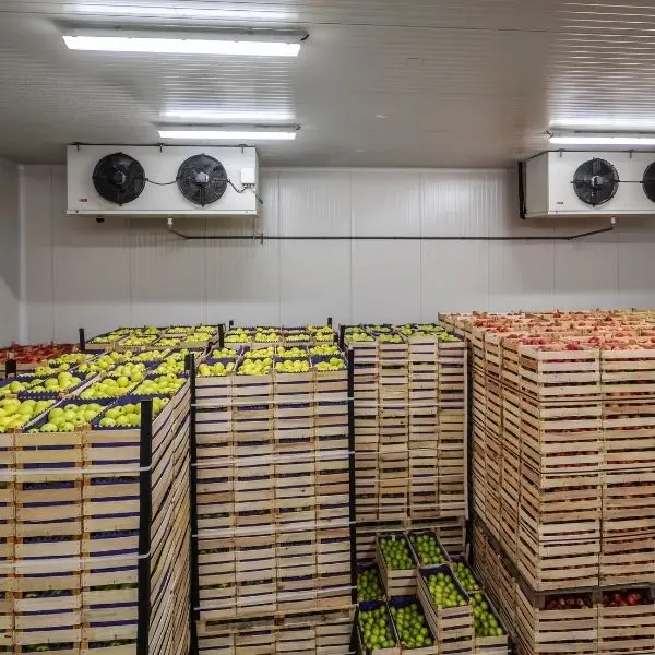 Gülda Cold Storage - Mersin